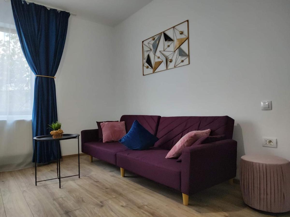 Dania&Petru Residence Tîrgu Ocna Exteriör bild
